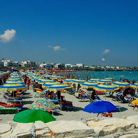 Cote D'est 3*